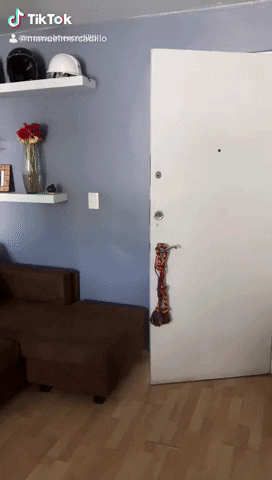 Tiktok GIF