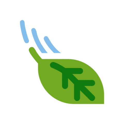 Leaf Naturaleza Sticker by Olé Oficial Mx