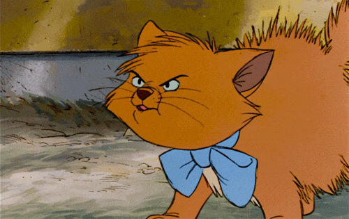 Résultat de recherche d'images pour "gif aristochats"