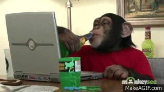 giphy.gif