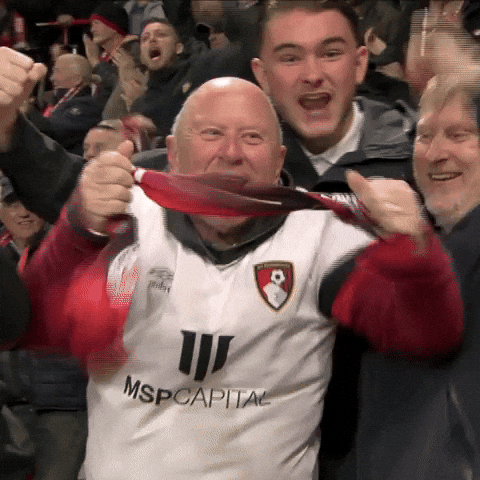 Celebrating Premier League GIF by AFC Bournemouth