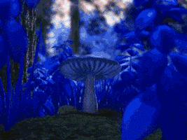 mushrooms GIF