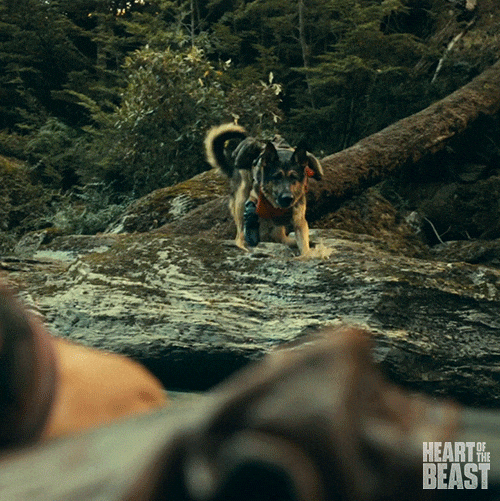 Jumping Paramount Pictures GIF by Heart of the Beast