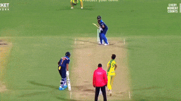 Team India Cricket GIF