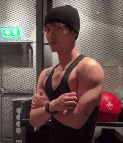 Wtf GIF