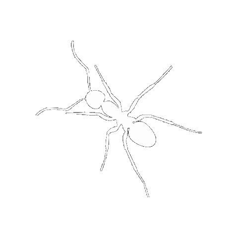 Work Ant Sticker by Puigdemont Roca