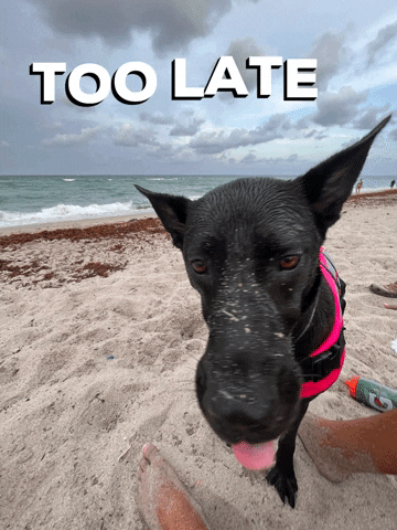 Too Late Playa GIF by Vitalsaludkids