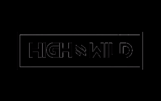 Dj Future House GIF by High N Wild