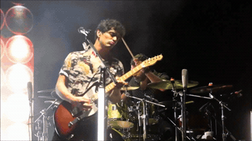 Bibi Marin Expo Forum GIF