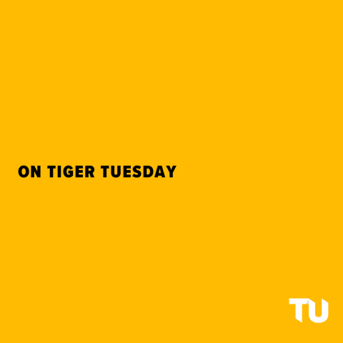 Black And Gold Tiger GIF by Towson University