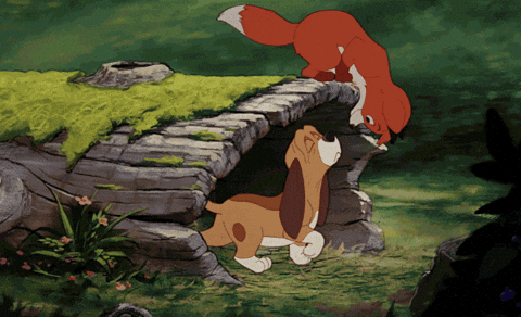 Image result for the fox and the hound gif