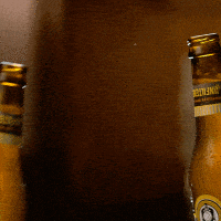 Beer Breja GIF by Eisenbahn