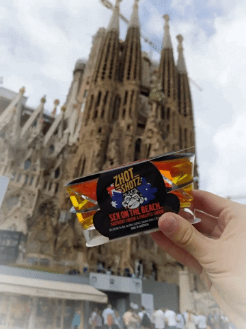 Sagrada Familia Barcelona GIF by Zhot Shotz