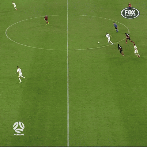 Brisbane Roar FC GIF