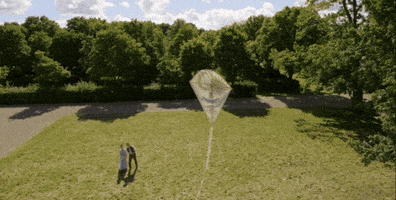 Kite GIF by Vulture.com