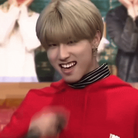 Stray Kids Skz GIF