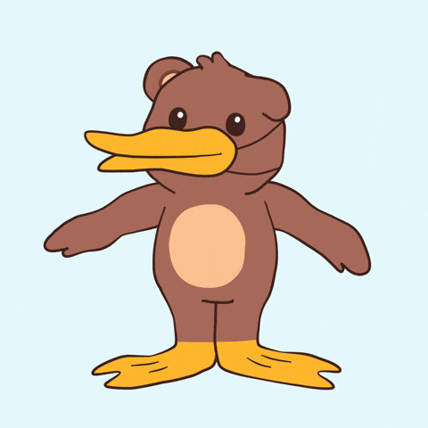 Penguin Barry GIF by BEARISH