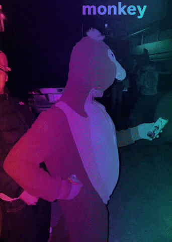 Monkey GIF