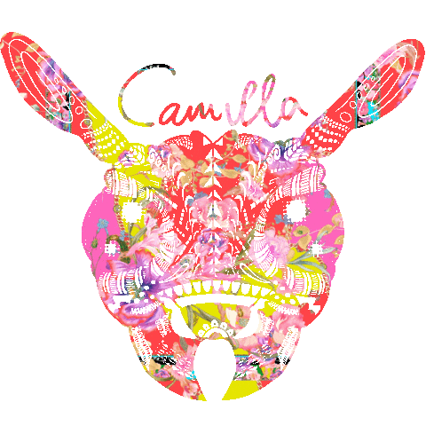 Party Rainbow Sticker by Camilla With Love Australia