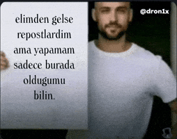 Turkish Memes GIF