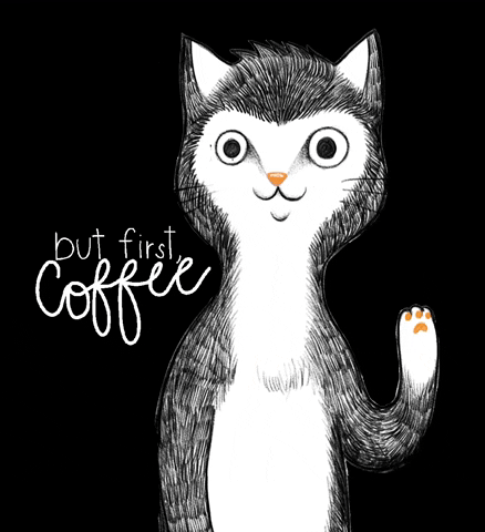 Cat GIF