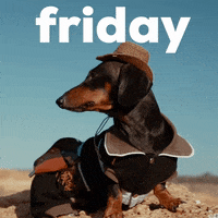 Its Friday Dog GIF by Sealed With A GIF