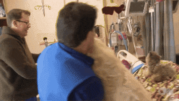 Pet Health GIF