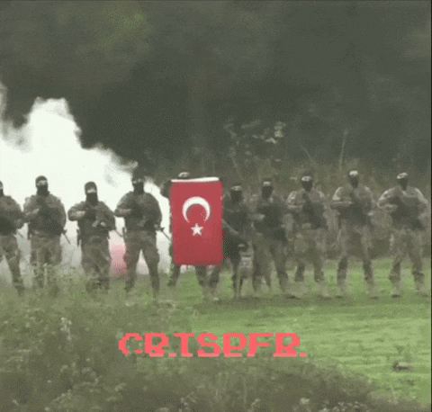 giphy.gif?cid=790b76110bdcb81168dbbb761774afa43bee0a45f4996517&rid=giphy.gif&ct=g