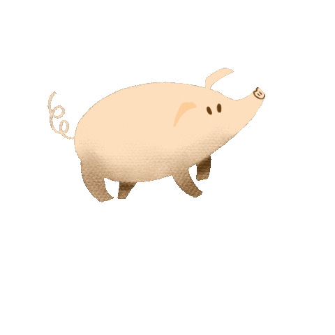 Pig Piggy Sticker