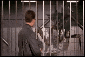 Neil Patrick Harris GIF