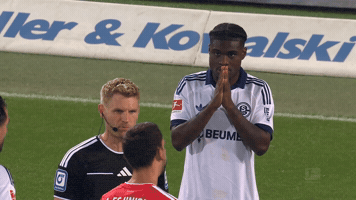 Celebration Goal GIF by FC Schalke 04