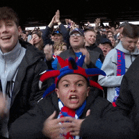 Happy Premier League GIF by CPFC