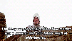 Monty Python The French Guard GIF
