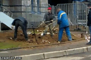 teamwork wtf GIF by Cheezburger