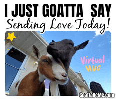Thinking Of You Pets GIF by Goatta Be Me Goats! Adventures of Pumpkin, Cookie and Java!