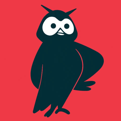 Mad Owl GIF by Hootsuite