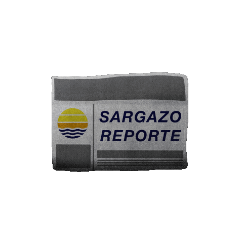 SOS Carbon Sticker