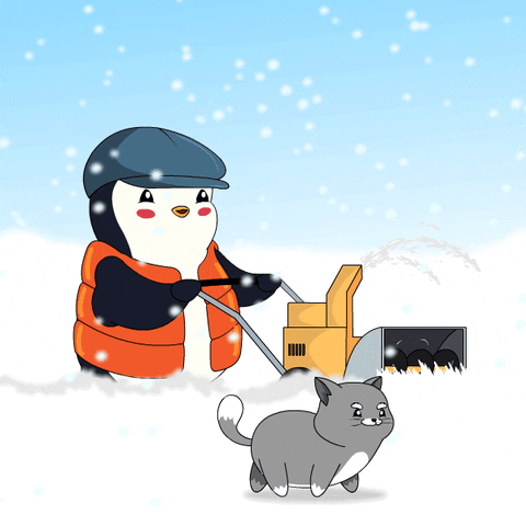 Cat Snow GIF by Pudgy Penguins
