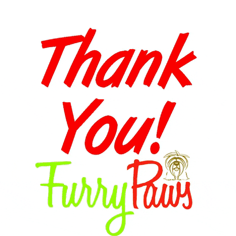 Petshop Thank You GIF by Furry Paws