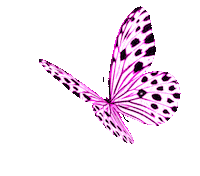 Borboleta Butterfly Stickers - Find & Share on GIPHY