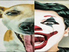 Coringa GIF