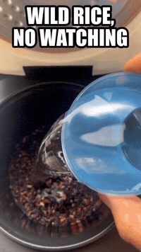 Wild Rice, No Watching | Rice Robot