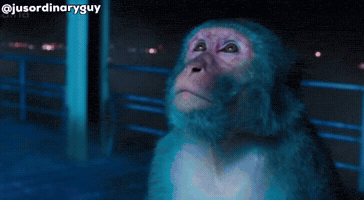 Ryan Gosling Monkey GIF