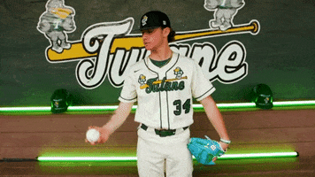 College Baseball Chandler GIF by GreenWave