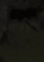 I See You Hello GIF by CSDRMS