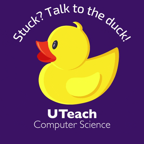 Computer Science Duck GIF by UTeach Institute