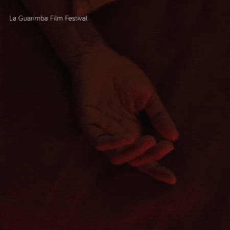 Couple Love GIF by La Guarimba Film Festival