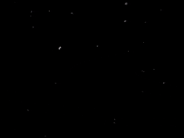 Mumbai Indians King GIF