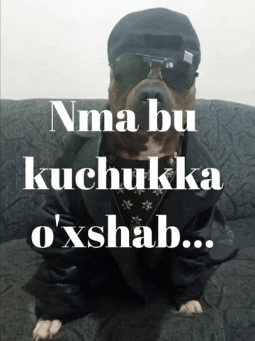 Nma Bu GIF