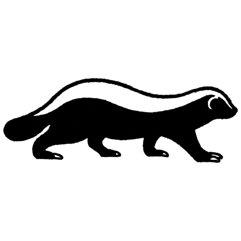 Night Dream Sticker by 콜린스 Collins